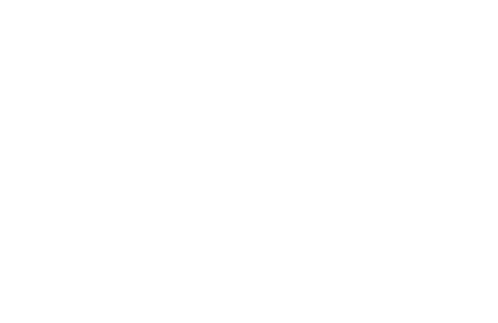 The Sapphire Merchant