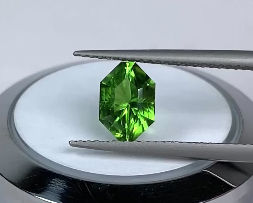 1.57ct Tsavorite Garnet Fancy Cut